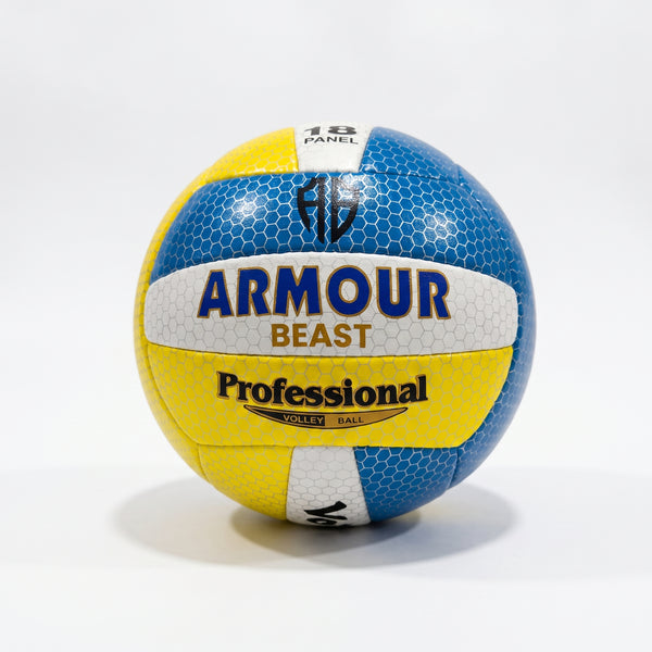 Volleyball 1.3 Leather Back Blue/Yellow