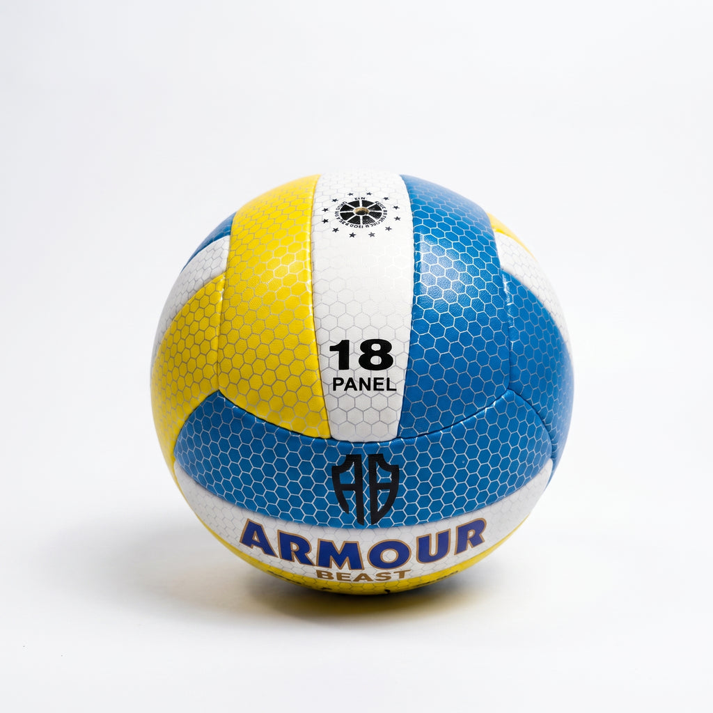 Volleyball 1.3 Leather Back Blue/Yellow