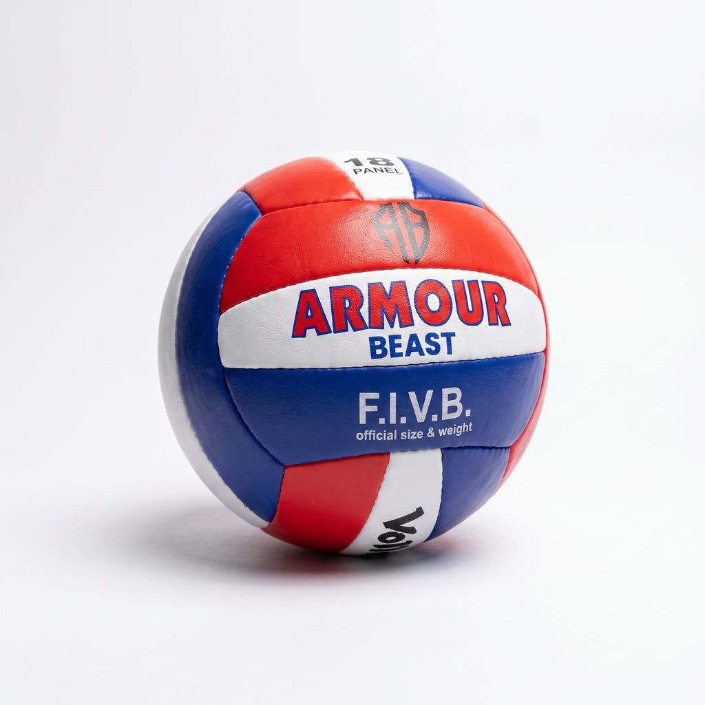 Volleyballl 1.3 Leather Back Red/Blue