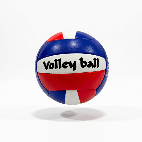 Volleyballl 1.3 Leather Back Red/Blue
